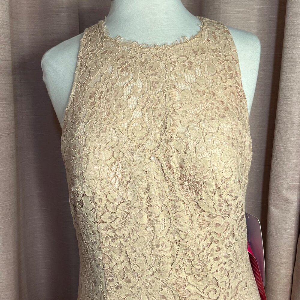 NWT  JS Collections 12 Formal Pink/beige Intricate Lace Elegant Maxi Weddings